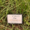 sparkles soap - Black Soap